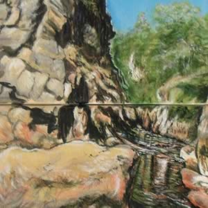 Life Blood: Tasmanian River Series – Leven Canyon