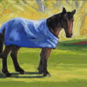 Winter – Horse with a Blue Rug