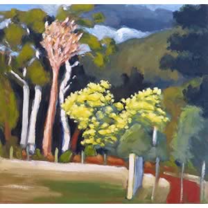 Spring – From Driveway Paddock
