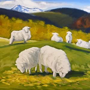 Winter – Ewes in Heap Paddock